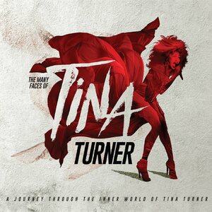 The Many Faces Of Tina Turner 3CD