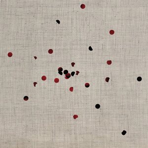 Nonpareils – Scented Pictures LP