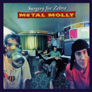 METAL MOLLY – Surgery For Zebra LP (Red Vinyl)